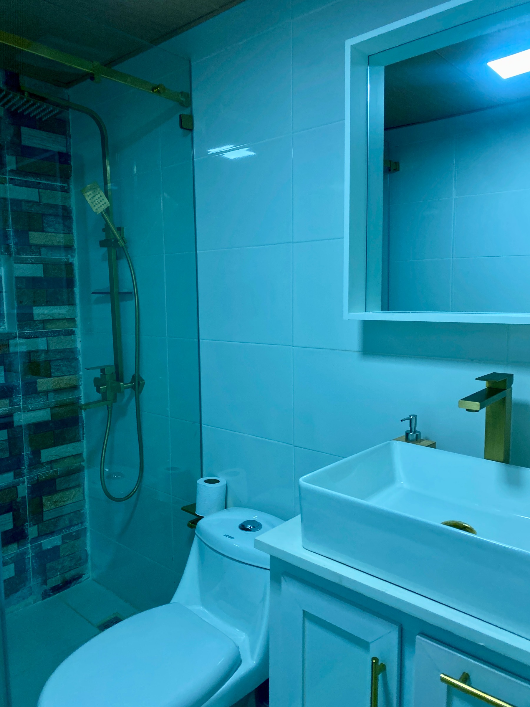 Apartamento amueblado en alquiler Ensanche Naco 